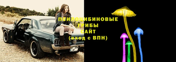 ECSTASY Коряжма