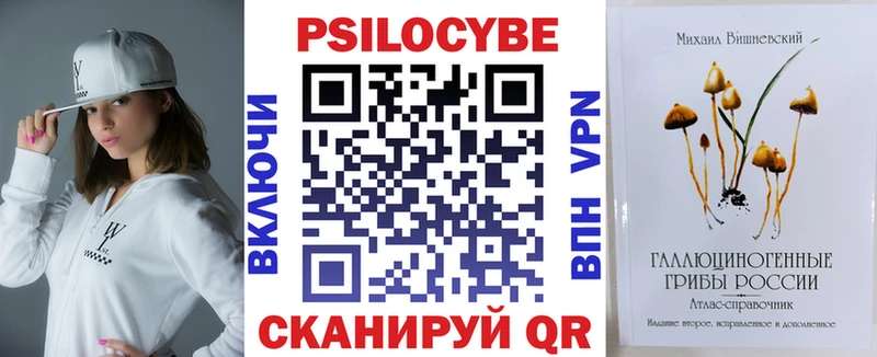 Купить закладки  Мышкин  Псилоцибиновые грибы Psilocybe 